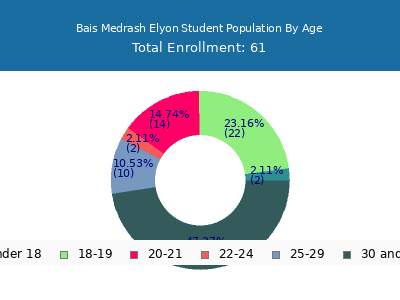 Bais Medrash Elyon 2024 Student Population Age Diversity Pie chart