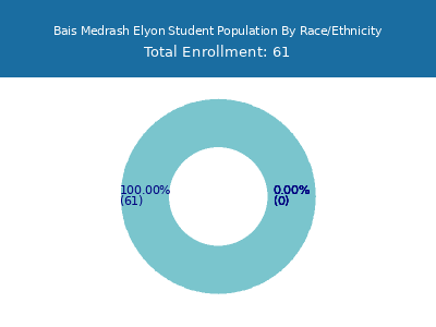 Bais Medrash Elyon 2025 Student Population by Gender and Race chart