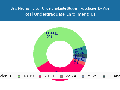 Bais Medrash Elyon 2024 Undergraduate Enrollment Age Diversity Pie chart