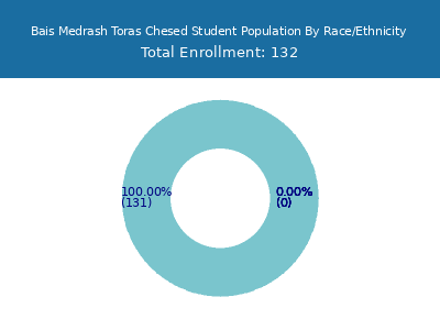 Bais Medrash Toras Chesed 2025 Student Population by Gender and Race chart