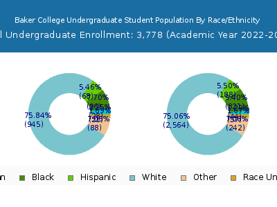 Baker College 2023 Undergraduate Enrollment by Gender and Race chart