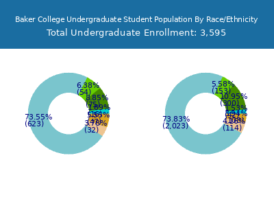 Baker College 2025 Undergraduate Enrollment by Gender and Race chart