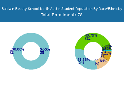 Baldwin Beauty School-North Austin 2025 Student Population by Gender and Race chart