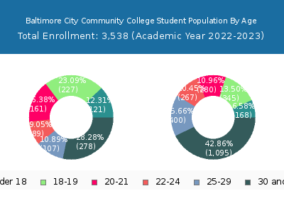 Baltimore City Community College 2023 Student Population Age Diversity Pie chart