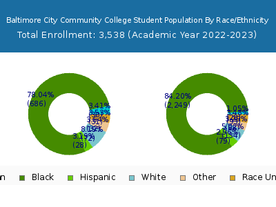 Baltimore City Community College 2023 Student Population by Gender and Race chart