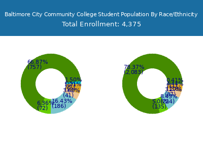Baltimore City Community College 2025 Student Population by Gender and Race chart