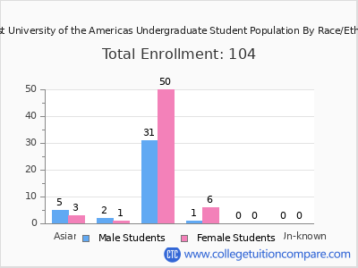 Baptist University of the Americas 2025 Undergraduate Enrollment by Gender and Race chart