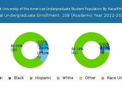 Baptist University of the Americas 2023 Undergraduate Enrollment by Gender and Race chart