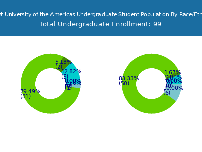 Baptist University of the Americas 2025 Undergraduate Enrollment by Gender and Race chart