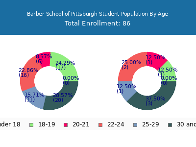 Barber School of Pittsburgh 2024 Student Population Age Diversity Pie chart