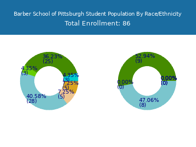 Barber School of Pittsburgh 2025 Student Population by Gender and Race chart