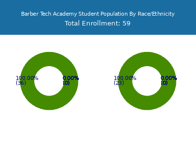 Barber Tech Academy 2025 Student Population by Gender and Race chart