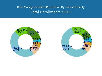 Bard College 2025 Student Population by Gender and Race chart