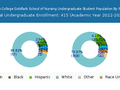 Barnes-Jewish College Goldfarb School of Nursing 2023 Undergraduate Enrollment by Gender and Race chart