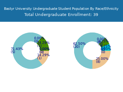 Bastyr University 2025 Undergraduate Enrollment by Gender and Race chart
