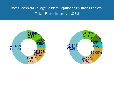 Bates Technical College 2025 Student Population by Gender and Race chart