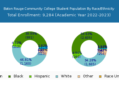 Baton Rouge Community College 2023 Student Population by Gender and Race chart