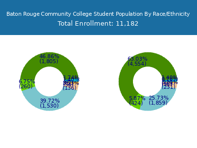 Baton Rouge Community College 2025 Student Population by Gender and Race chart