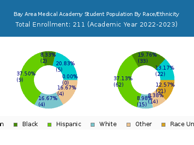 Bay Area Medical Academy 2023 Student Population by Gender and Race chart