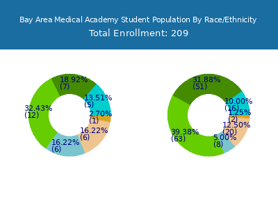 Bay Area Medical Academy 2025 Student Population by Gender and Race chart