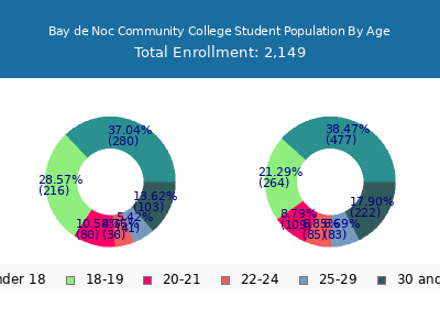 Bay de Noc Community College 2024 Student Population Age Diversity Pie chart
