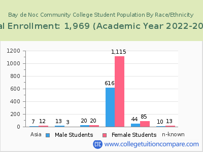 Bay de Noc Community College 2023 Student Population by Gender and Race chart