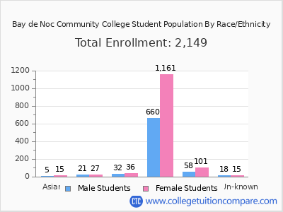Bay de Noc Community College 2025 Student Population by Gender and Race chart