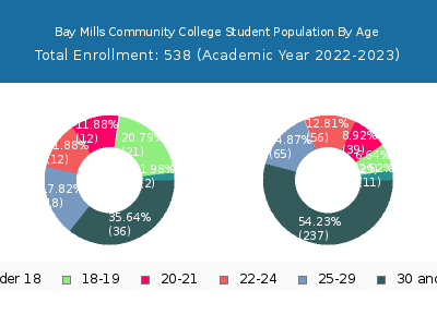 Bay Mills Community College 2023 Student Population Age Diversity Pie chart