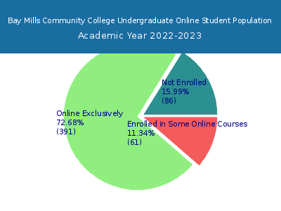 Bay Mills Community College 2023 Online Student Population chart