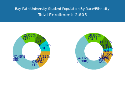 Bay Path University 2025 Student Population by Gender and Race chart
