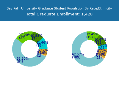 Bay Path University 2025 Graduate Enrollment by Gender and Race chart