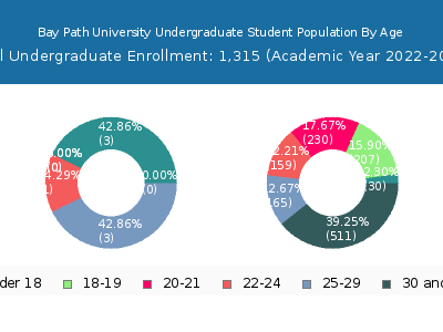 Bay Path University 2023 Undergraduate Enrollment Age Diversity Pie chart