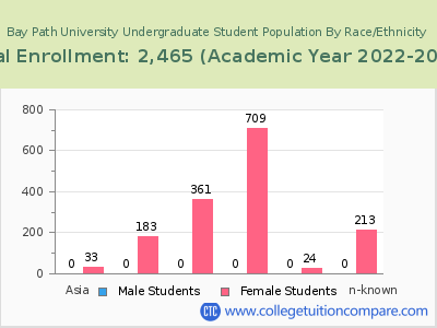 Bay Path University 2023 Undergraduate Enrollment by Gender and Race chart