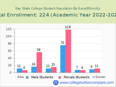 Bay State College 2023 Student Population by Gender and Race chart