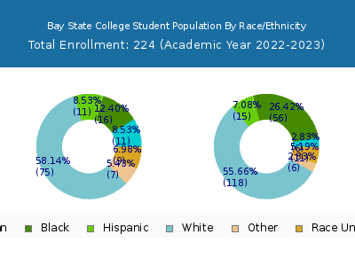 Bay State College 2023 Student Population by Gender and Race chart