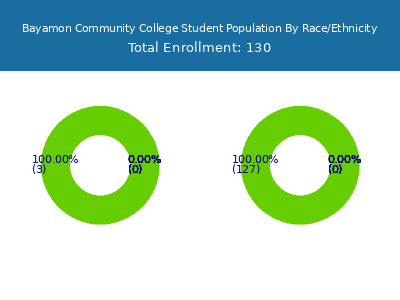 Bayamon Community College 2025 Student Population by Gender and Race chart