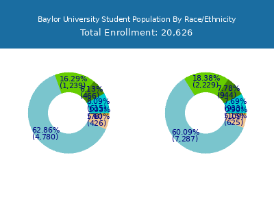 Baylor University 2025 Student Population by Gender and Race chart