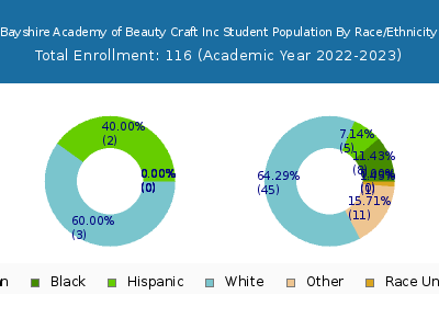 Bayshire Academy of Beauty Craft Inc 2023 Student Population by Gender and Race chart