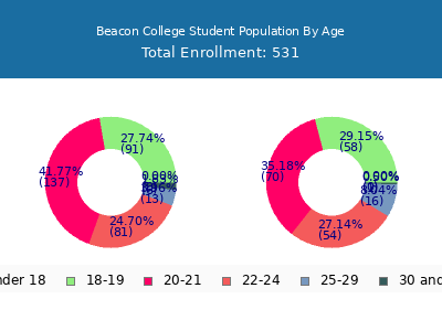 Beacon College 2024 Student Population Age Diversity Pie chart
