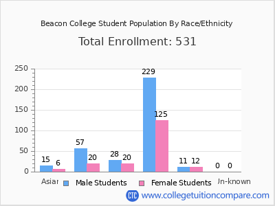 Beacon College 2025 Student Population by Gender and Race chart