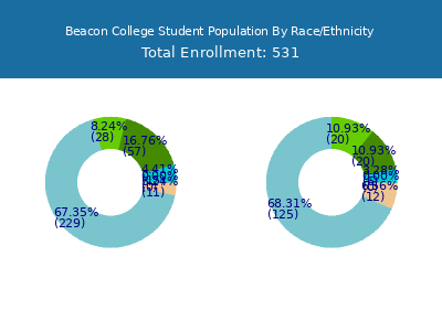 Beacon College 2025 Student Population by Gender and Race chart