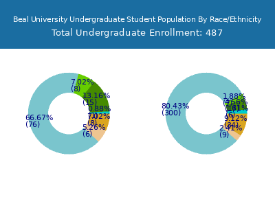 Beal University 2025 Undergraduate Enrollment by Gender and Race chart
