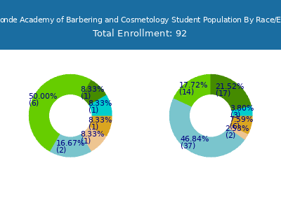 Beau Monde Academy of Barbering and Cosmetology 2025 Student Population by Gender and Race chart