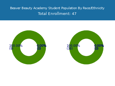 Beaver Beauty Academy 2025 Student Population by Gender and Race chart