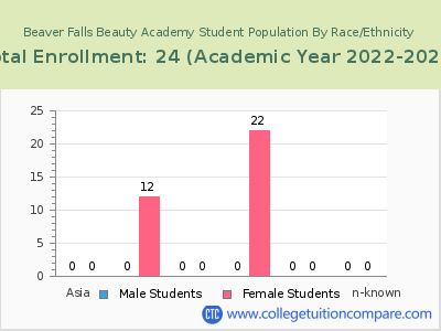 Beaver Falls Beauty Academy 2023 Student Population by Gender and Race chart