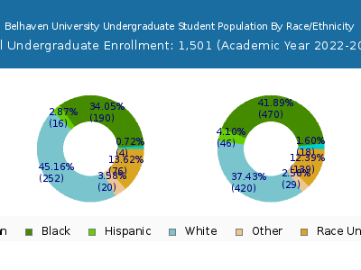Belhaven University 2023 Undergraduate Enrollment by Gender and Race chart