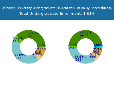 Belhaven University 2025 Undergraduate Enrollment by Gender and Race chart