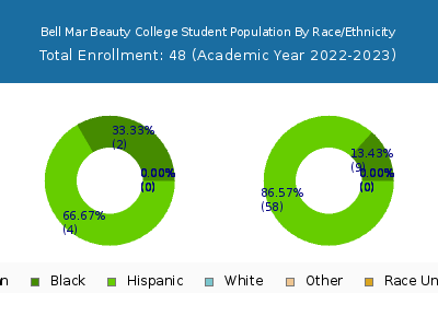 Bell Mar Beauty College 2023 Student Population by Gender and Race chart