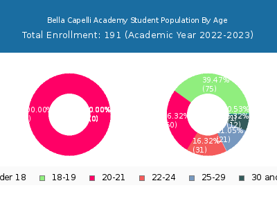 Bella Capelli Academy 2023 Student Population Age Diversity Pie chart