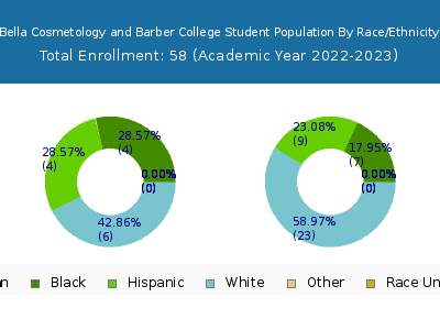 Bella Cosmetology and Barber College 2023 Student Population by Gender and Race chart
